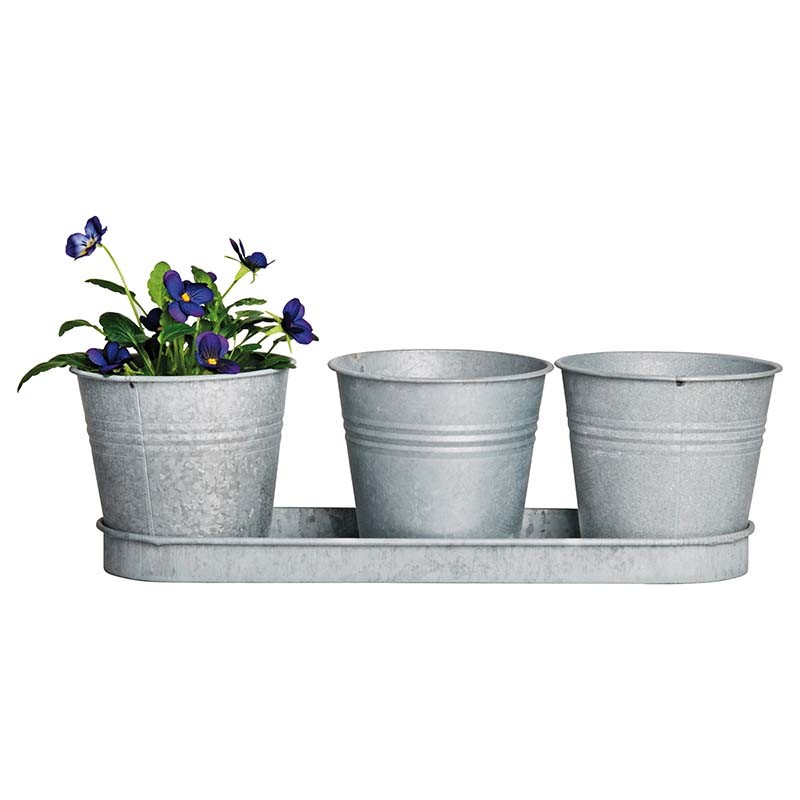 Pots De Fleurs Avec Soucoupe En Zinc Patin Jardiprotec