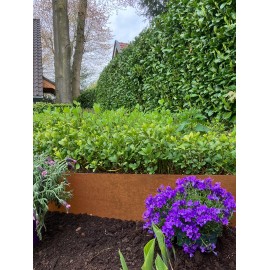 Bordure en métal acier Corten