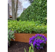 Bordure en métal acier Corten