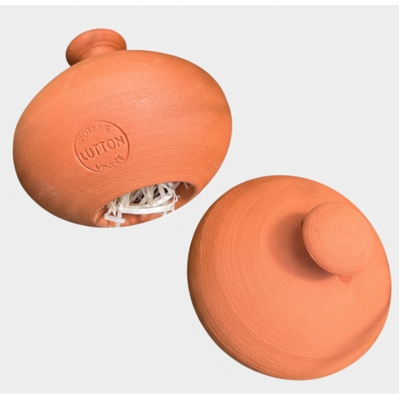 cocon perce oreilles