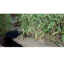 Root Block 1900g/m²