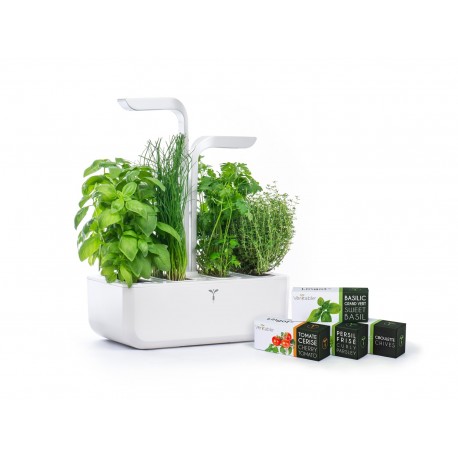 Potager d'intérieur Véritable Classic Artic White 4 lingots Potager d'intérieur Véritable Classic Artic White 4 lingots