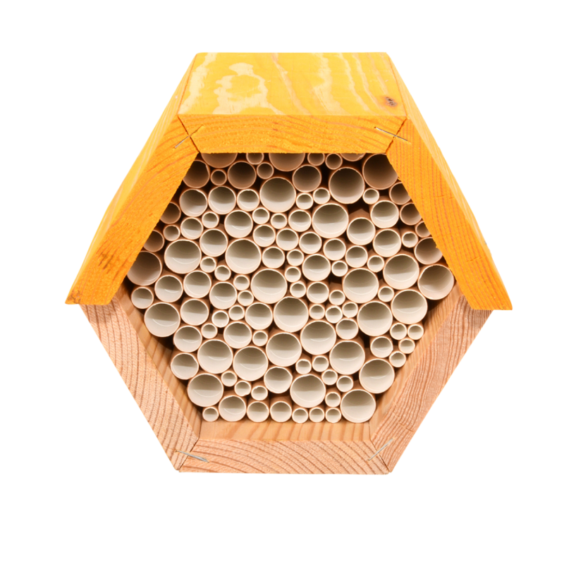 Hôtel Insectes Chêne Massif Hôtel à Abeilles Chêne Massif 50cm - Nichoir Abeilles Sauvages Fait Main Allemagne Hôtel Abeilles Sauvages Chêne Hôtel Insectes Chêne Massif Hôtel à Abeilles Chêne Massif 50cm - Nichoir Abeilles Sauvages Fait Main Allemagne Hôtel Abeilles Sauvages Chêne