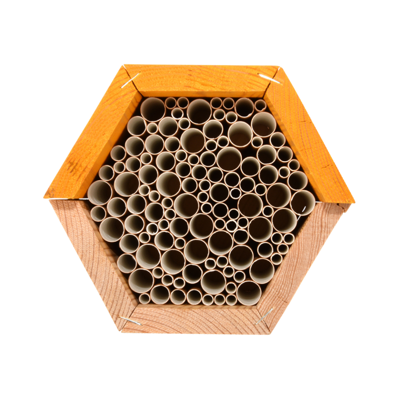 Abri Biodiversité Jardin Hôtel à Abeilles Chêne Massif 50cm - Nichoir Abeilles Sauvages Fait Main Allemagne Hôtel Insectes Trous 3-9mm Abri Biodiversité Jardin Hôtel à Abeilles Chêne Massif 50cm - Nichoir Abeilles Sauvages Fait Main Allemagne Hôtel Insectes Trous 3-9mm