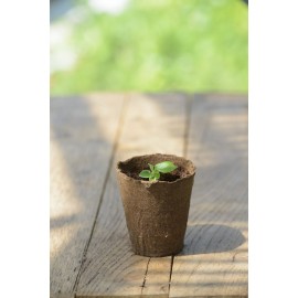 120x Pot de semis de Fleur et Plante en Fibres de Bois biodégradables pour  Jardin, bac, Serre ou Potager - Cdiscount Jardin