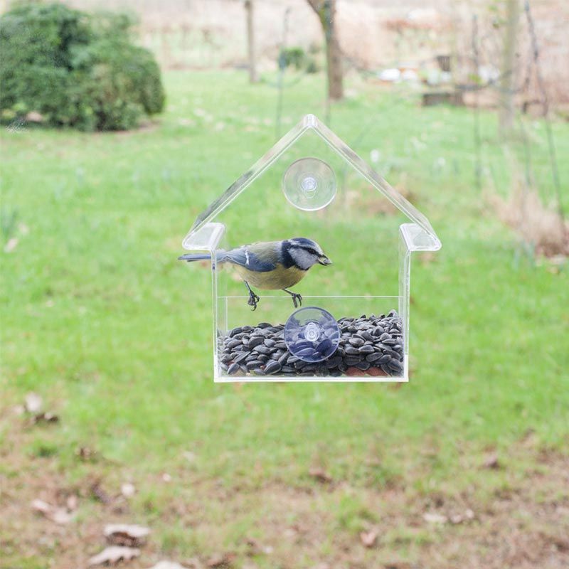 Dôme De Protection Mangeoire à Oiseaux ShanGaiLi - Plastique Transparent Anti-Écureuils - Blanc
