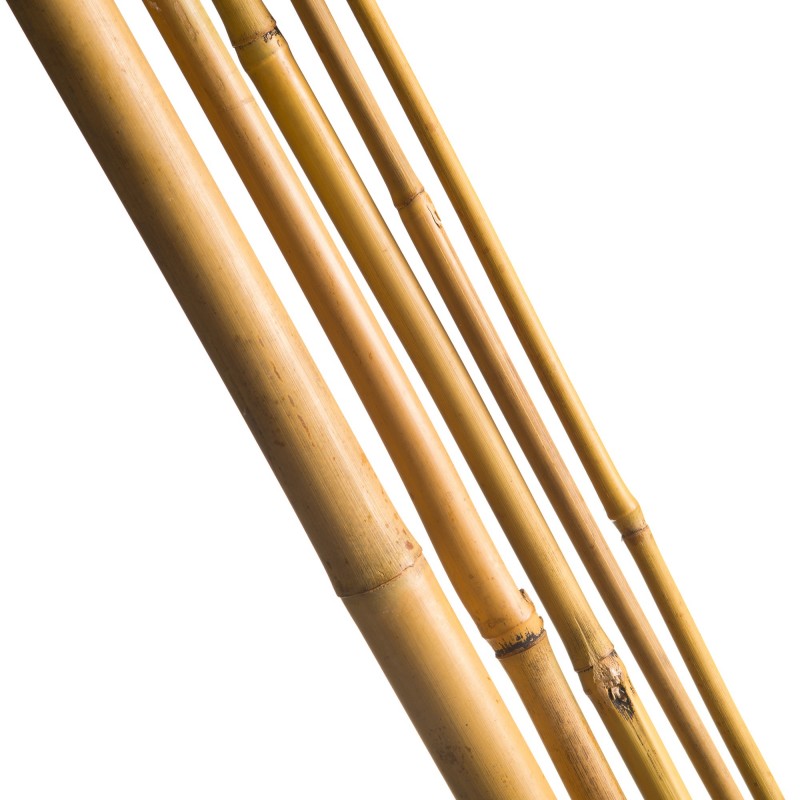 7 Tuteurs H90cm en bambou
