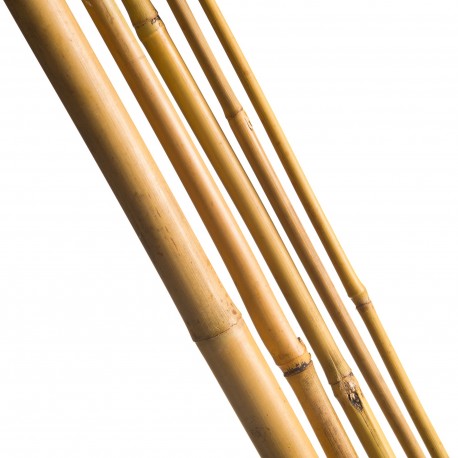 3 Tuteurs H180cm en bambou 3 Tuteurs H180cm en bambou