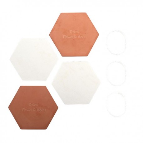Kit presse fleurs micro-ondes Max Microfleur, neuf dans sa boîte