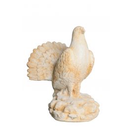 Pigeon Paon grand modèle - Statue