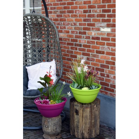 Lot De 4 Paniers De Plantation Pour Bassin - Pots Ajourés En PVC Pour Plantes Aquatiques, Nénuphars