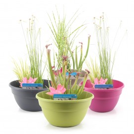 Pots Aquatiques Pour Bassin - Lot De 8, En Tissu Non Tissé, Pliables - Pour Nénuphars, Plantes D'eau