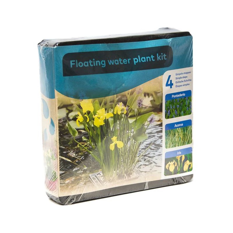 Kit 3 plantes aquatiques pour bassin et fontaine