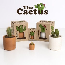 kit pot cactus - famille...