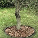 Installer une bordure de jardin
