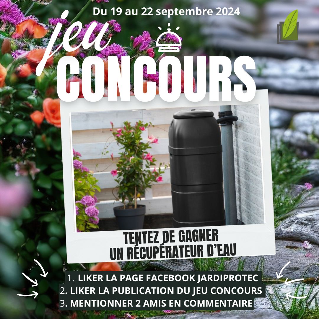 jeu concours facebook